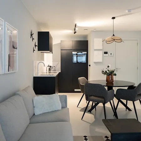 Modern With Terrace In Heart Of *